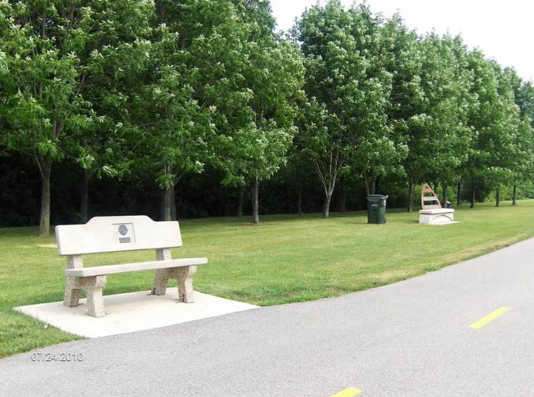 Photo bench by trees