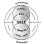 Archetypes and Algorithms's avatar