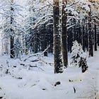 All Video Games Are Set in Winter