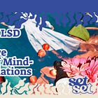 Ep. 74 | Microdosing LSD for Energy and Emotional Safety