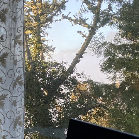 Images of morning light a few minutes apart