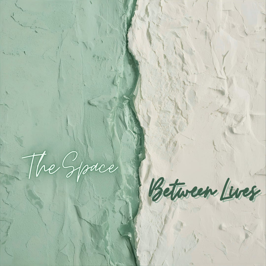 The Space Between Lives