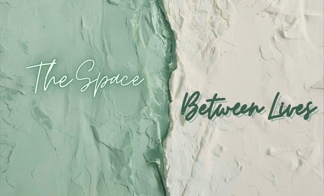 The Space Between Lives | Substack