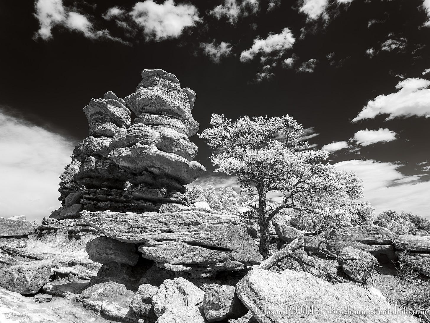 This image has an empty alt attribute; its file name is JPO_20240323_0253-orf.jpg This image has an empty alt attribute; its file name is JPO_20240323_0253-orf.jpg