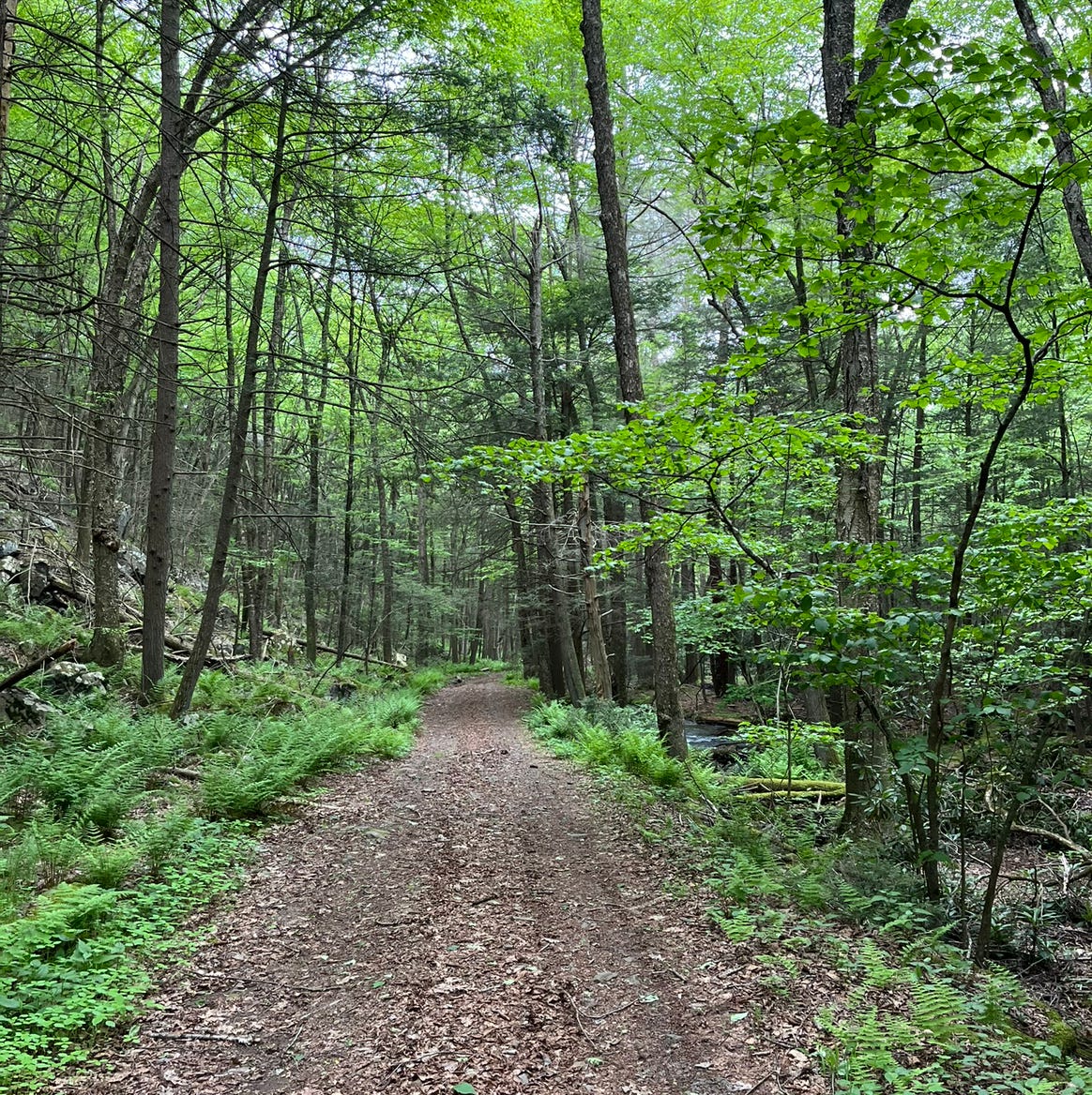 The Lost Road Report