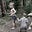 Path My Children Forge's avatar