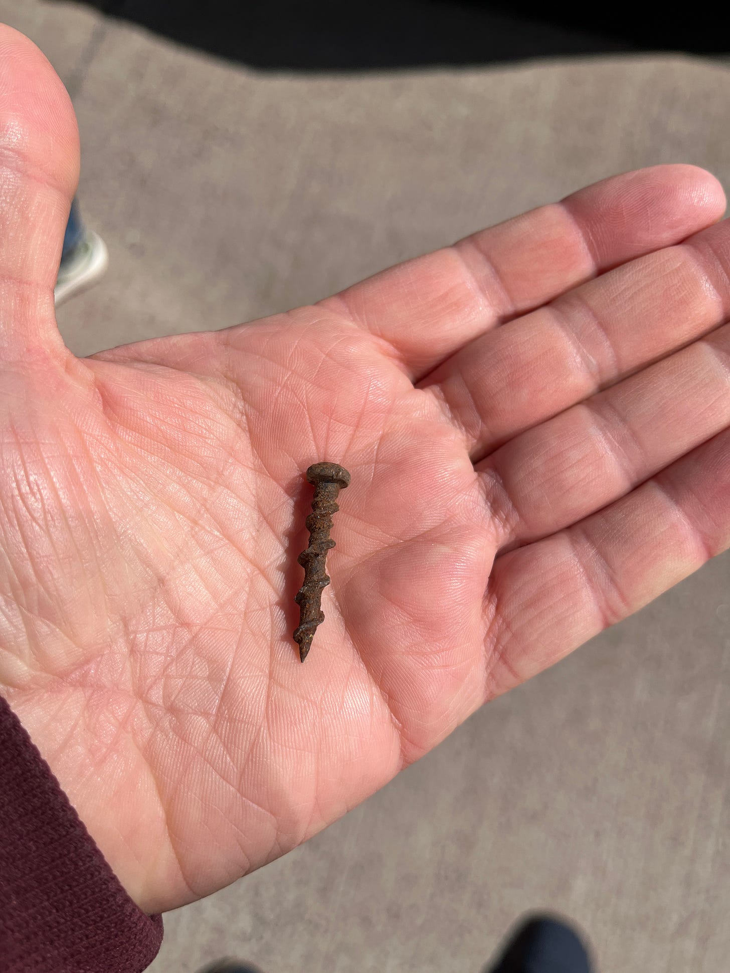 A rusty old screw I picked up off the grounde