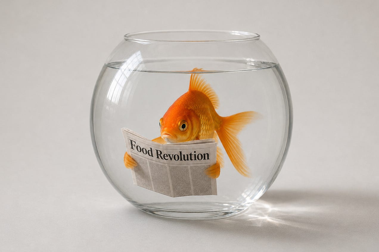 Ein orangefarbener Goldfisch in einem runden, mit Wasser gefüllten Glas hält eine Zeitung mit dem Titel «Food Revolution» in den Flossen. Das realistisch inszenierte Motiv steht vor hellem Hintergrund; Lichtreflexe fallen durch das Glas auf die Tischfläche. Ein orangefarbener Goldfisch in einem runden, mit Wasser gefüllten Glas hält eine Zeitung mit dem Titel «Food Revolution» in den Flossen. Das realistisch inszenierte Motiv steht vor hellem Hintergrund; Lichtreflexe fallen durch das Glas auf die Tischfläche.