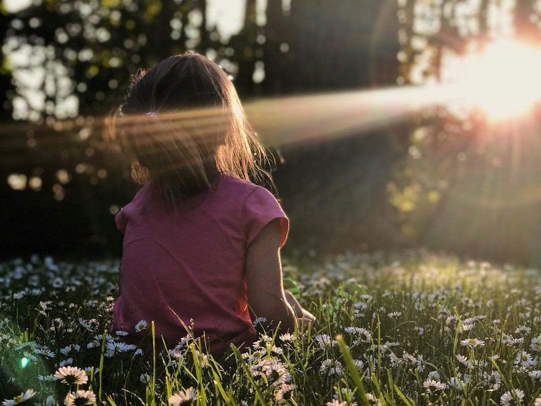 girl sitting on daisy flowerbed in forest girl sitting on daisy flowerbed in forest