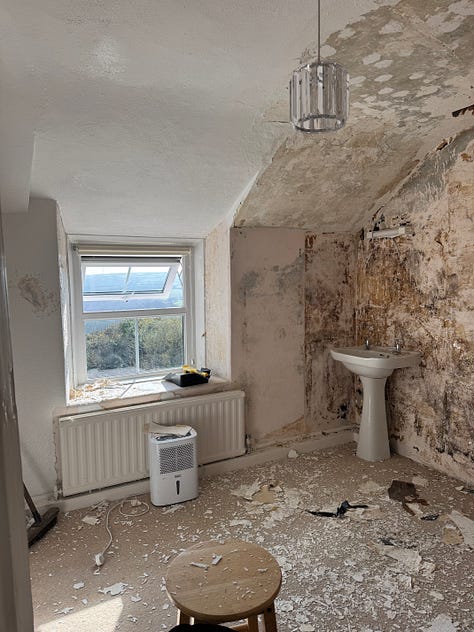 A bedroom in 5 photos - progress pictures of taking off rotten woodchip wallpaper, scraping the walls and ripping up the carpet. 