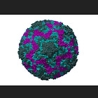 A virus that "will target children"
