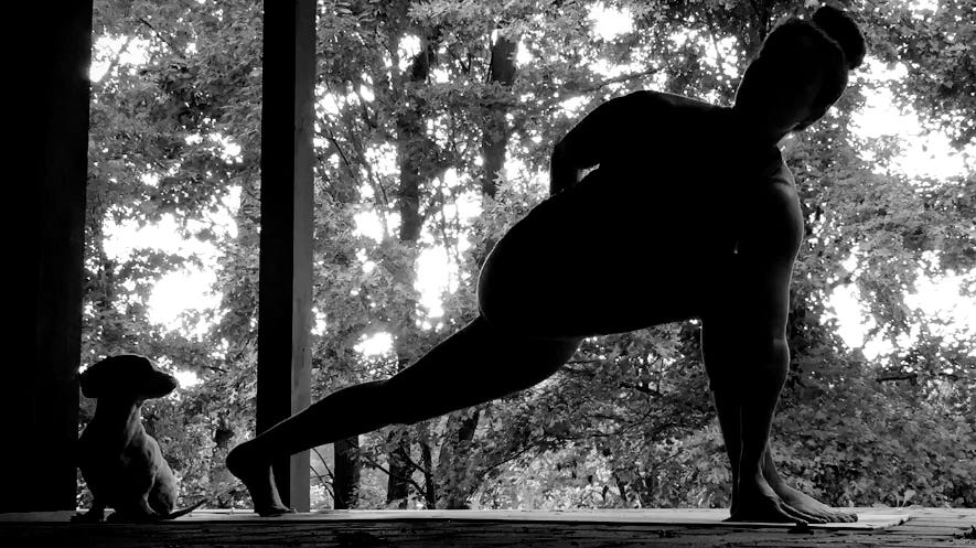 Black and white photo of person doing yoga outside with a dachshund watching and trees in the background. Black and white photo of person doing yoga outside with a dachshund watching and trees in the background.