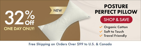 Get 32% Off on Posture Perfect Pillow