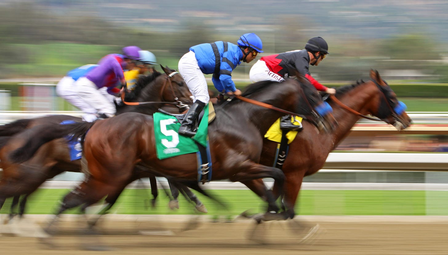There should be a ban on horse racing, as the sport often prioritizes profit over horse welfare and neglects impacted communities. It's imperative to end this exploitative practice. There should be a ban on horse racing, as the sport often prioritizes profit over horse welfare and neglects impacted communities. It's imperative to end this exploitative practice.