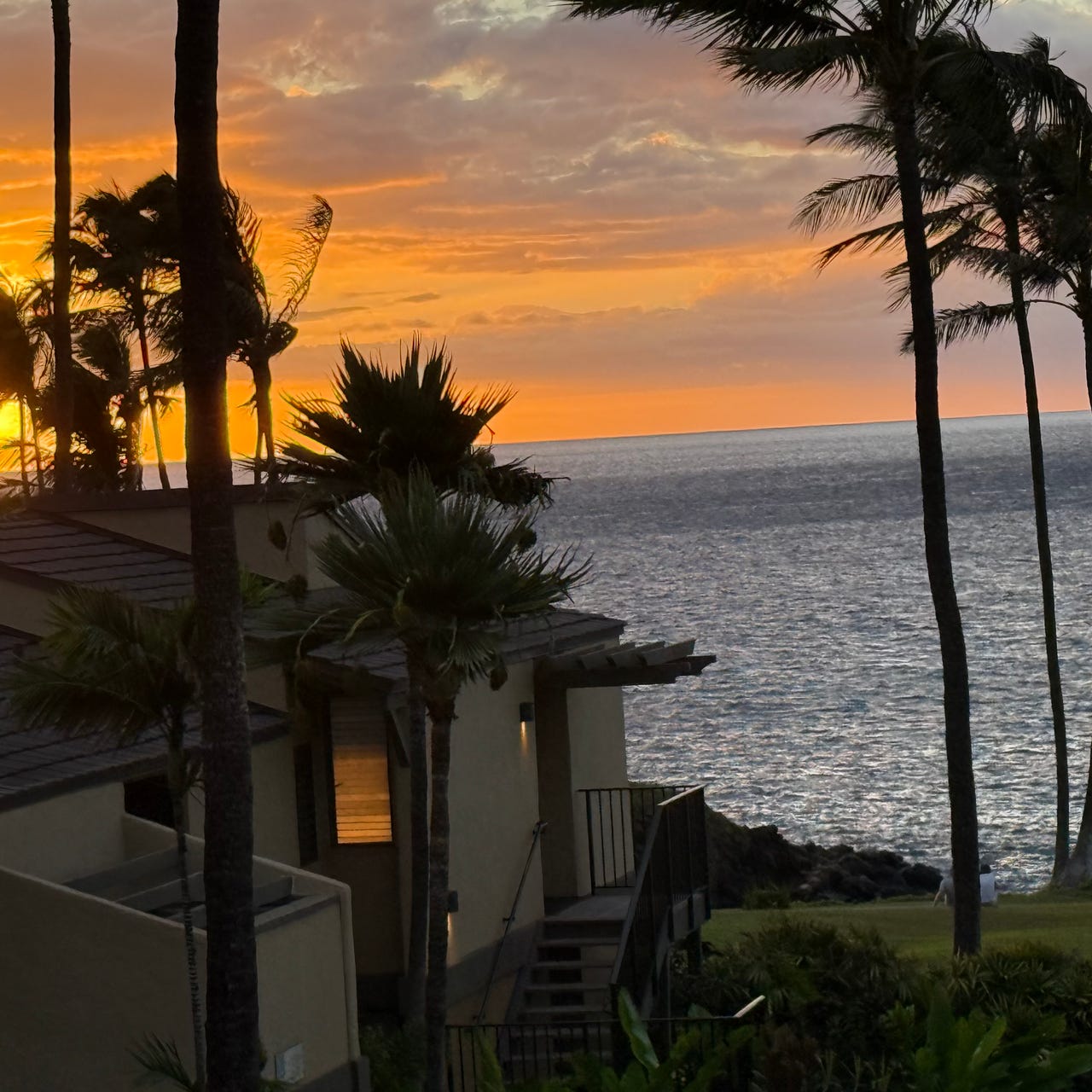 Seeking Balance in Dystopia