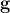 \mathbf{g}