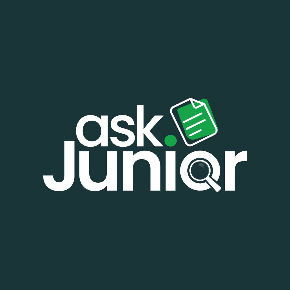 Ask Junior - Judgment Summaries logo