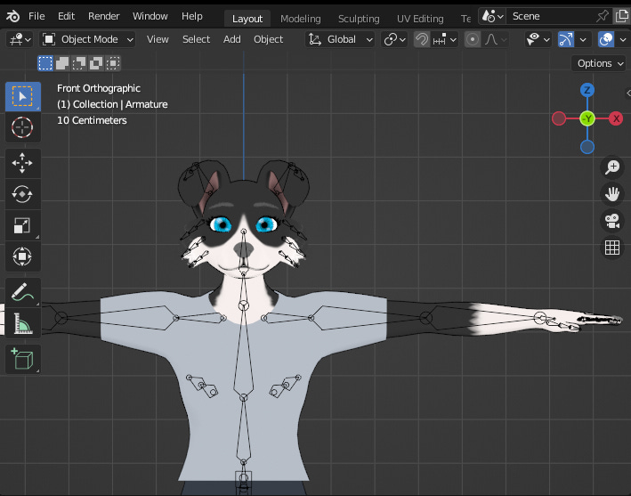 3D/VRM model, a female anthropomorphic border collie in T-pose, using a t-shirt and shorts. Viewport shading in 'Material Preview'.