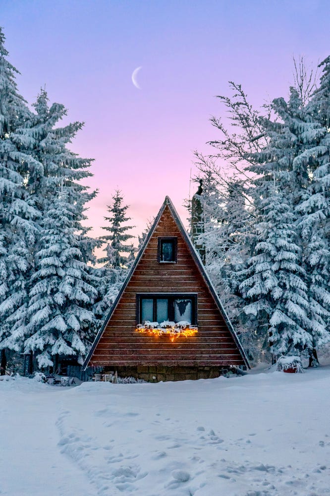 snowy forest cottage