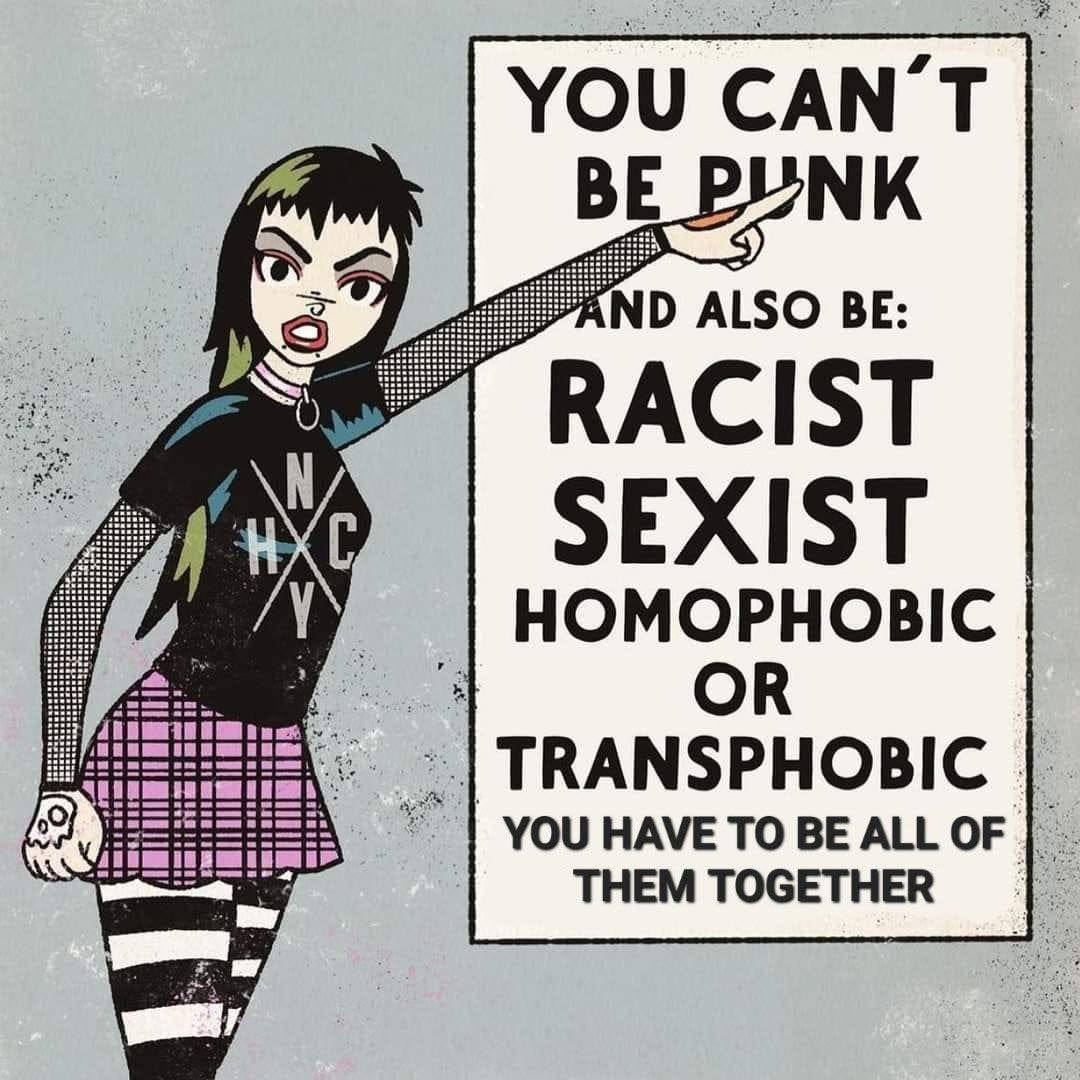 r/ Hardcore mocking r/punk. : r/punk r/ Hardcore mocking r/punk. : r/punk