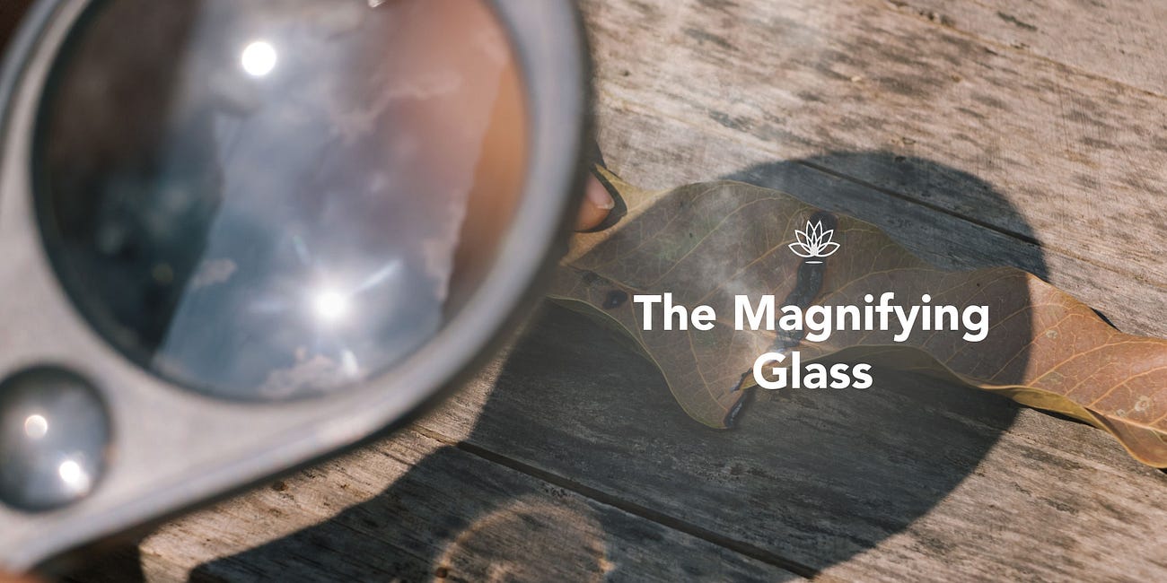 The Magnifying Glass