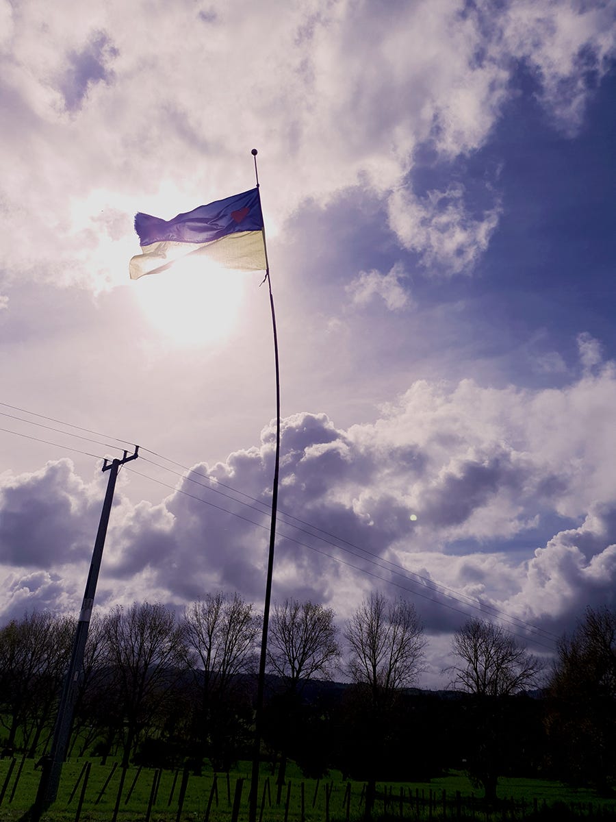 My new hand sewn Ukrainian flag flying in the top paddock.