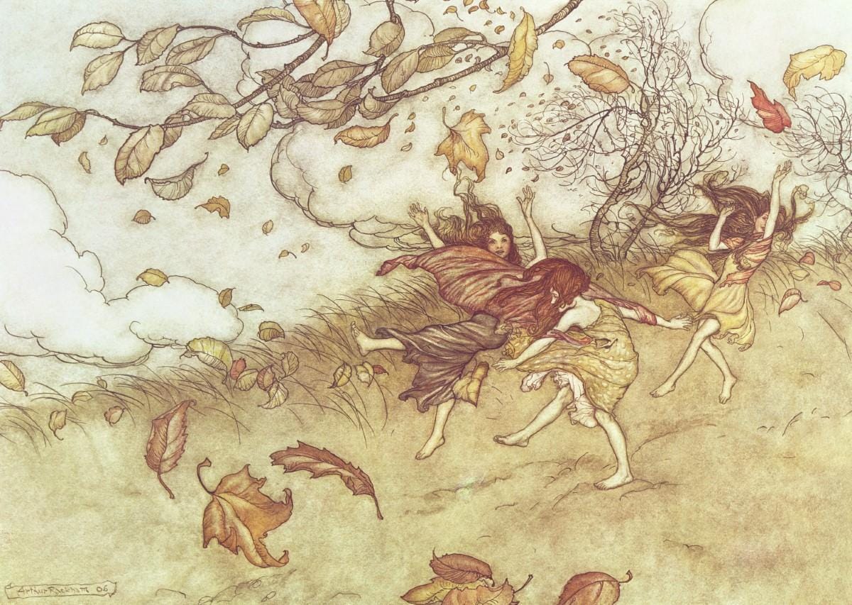Autumn Fairies - Rackham Art Print, Canvas