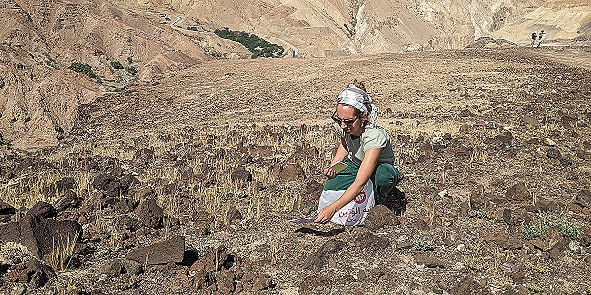 Wild Plant Ranges Contract After Ice Age