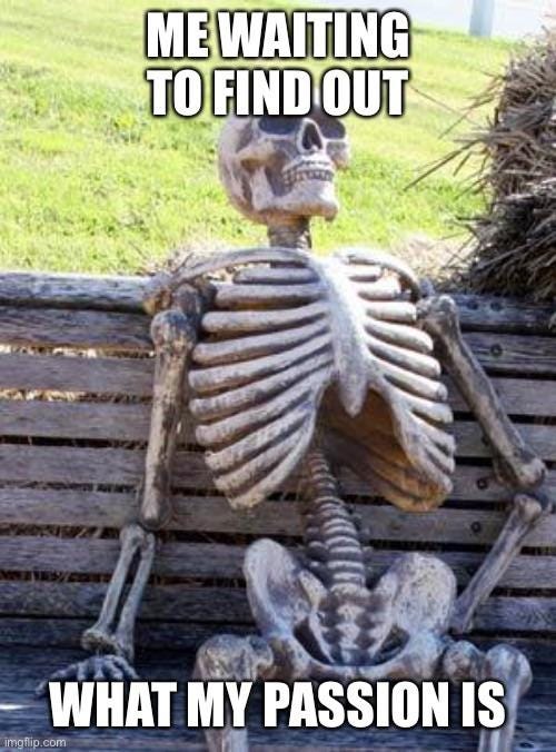 Career? What career? : r/memes