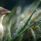 10 creative ways to partner with AI for Midjourney prompts