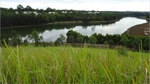 View from spiral mountain to north