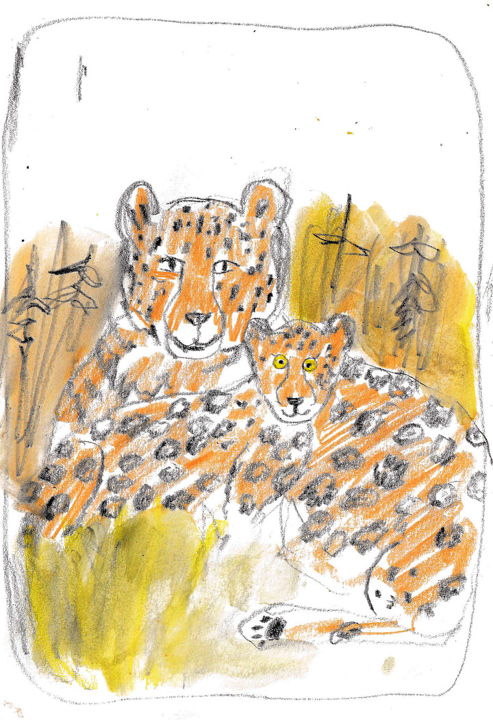 animal drawings by beth spencer