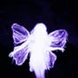 fairy's avatar