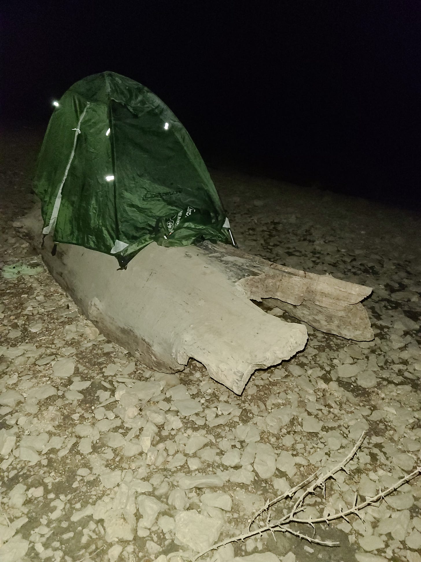 I *am* the bump on the log