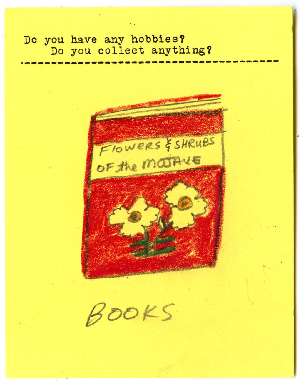 Do you have any hobbies? Do you collect anything? Books Do you have any hobbies? Do you collect anything? Books