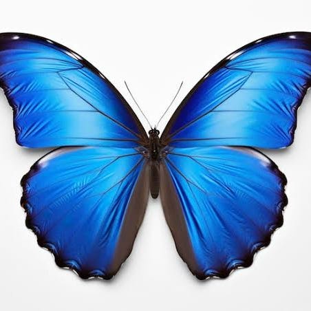 Voz da alma \ud83d\udc9c