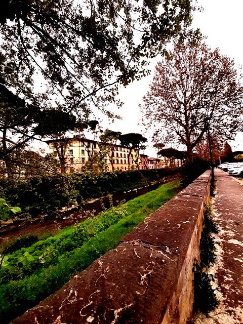 una vista del quartiere fiorentino Le Cure dal fiume