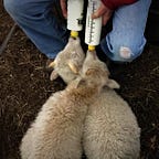 Clatter Ridge Farm