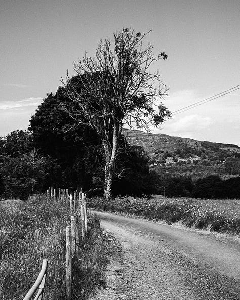 A collection of black and white images from my visit to Wales