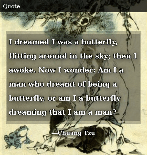 Butterfly Man Dream Quote Butterfly Man Dream Quote