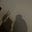 Ndo's avatar