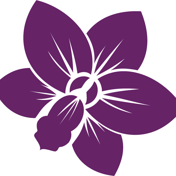 LT in the City Weekly