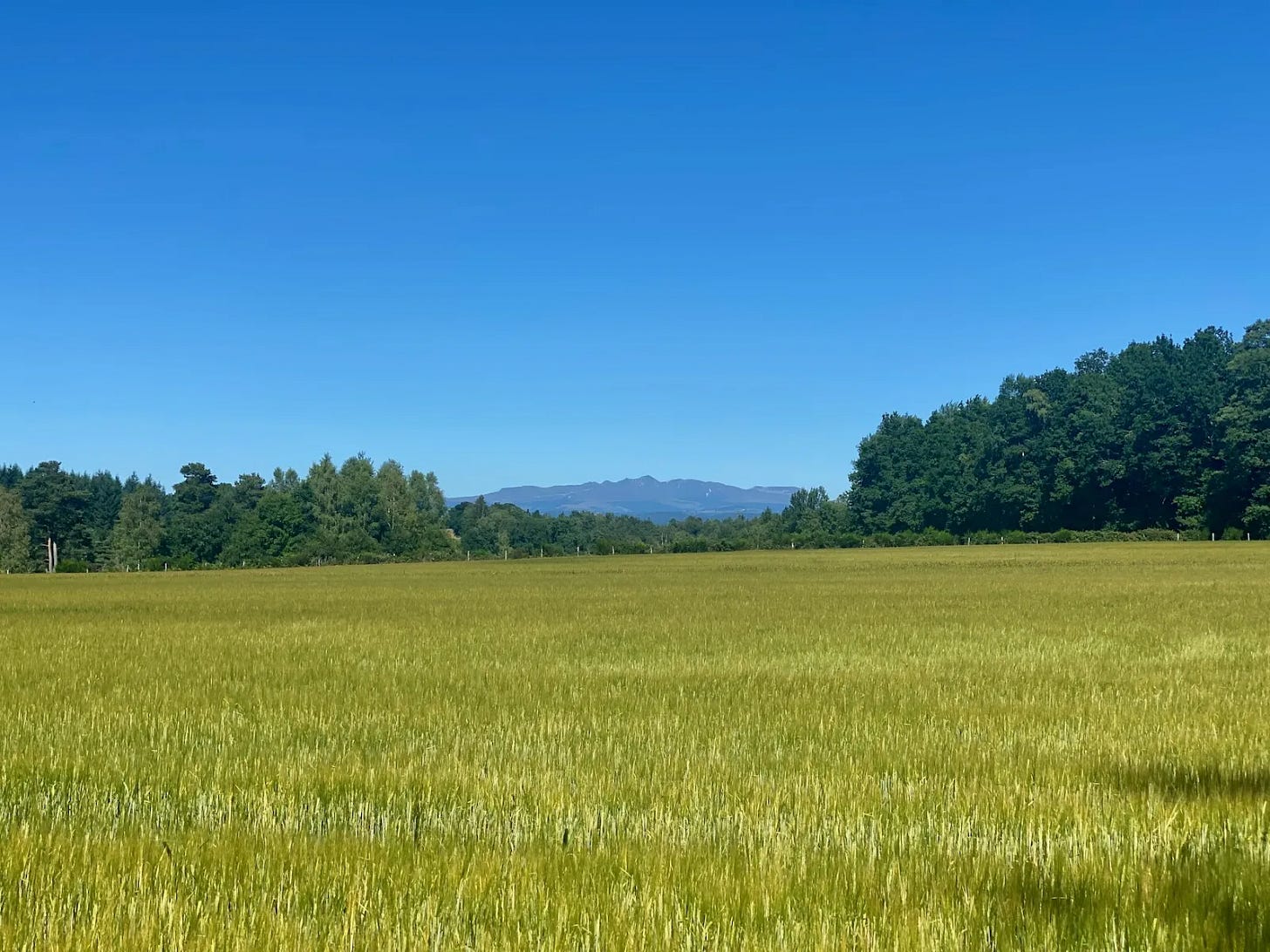 Le Cantal