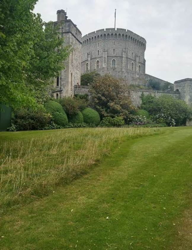 A large stone castle with a round tower
AI-generated content may be incorrect. A large stone castle with a round tower
AI-generated content may be incorrect.