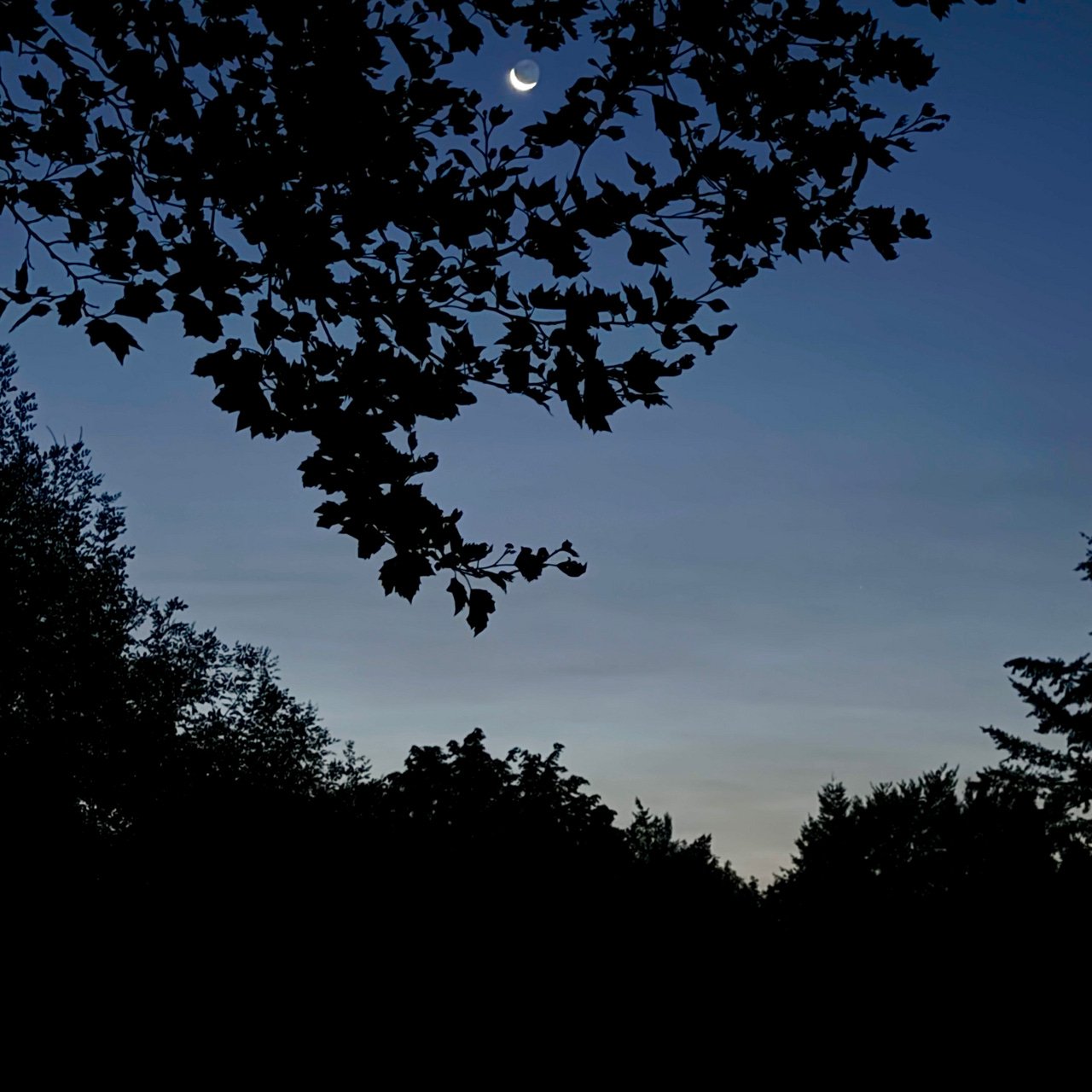 Deo Writer: Musings to Spark the Spirit