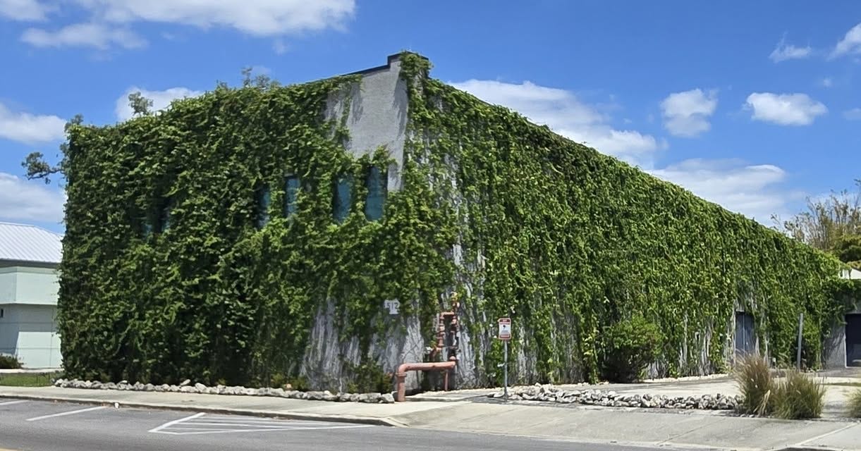Historic Olympia Theatre in Palmetto Reflects a Century of Change