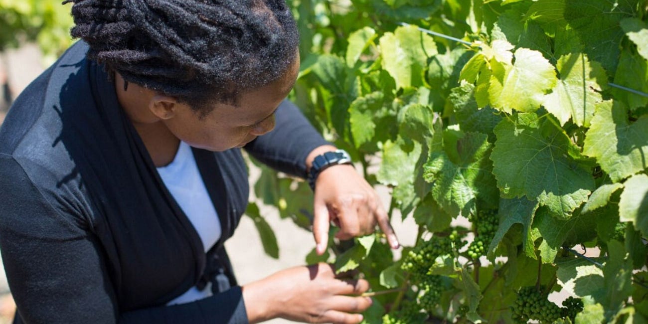 Meet Ntsiki Biyela: Aslina Wines