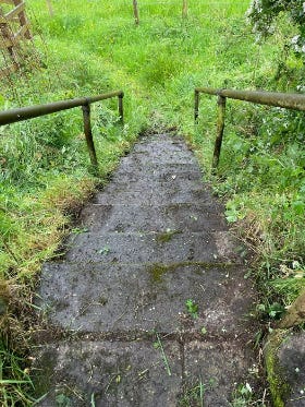Two photos showing grey steps outside covered in grass