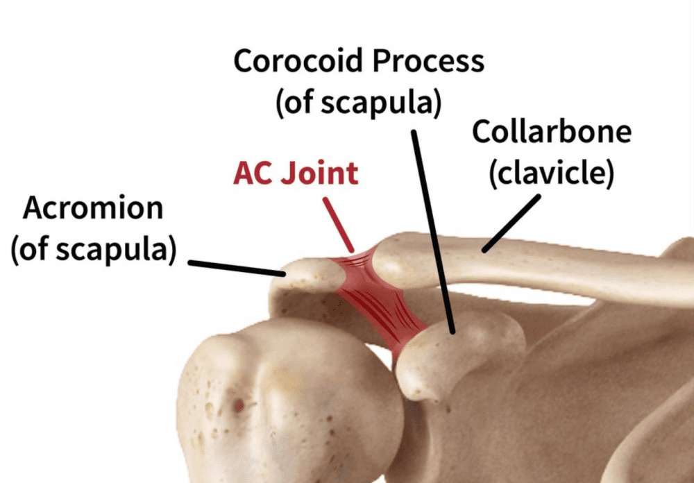 Shoulder acromioclavicular joint injuries common in athletes: Orthopedic Center for Sports Medicine: Sports Medicine Physicians Shoulder acromioclavicular joint injuries common in athletes: Orthopedic Center for Sports Medicine: Sports Medicine Physicians