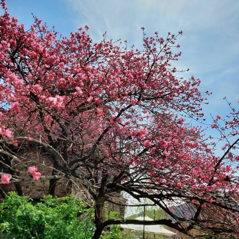 Artwork for MissingCues